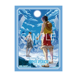 ONE PIECE CG SLEEVES SET 15