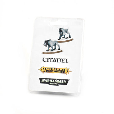 WARHAMMER AGE OF SIGMAR BEASTCLAW RAIDERS FROST SABRES