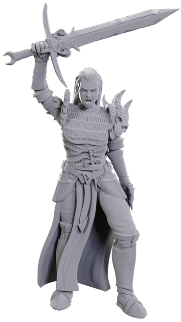 DND UNPAINTED MINIS WV25 BLACKGUARD