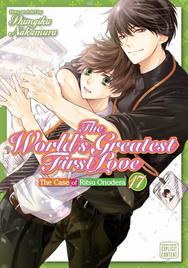 WORLD'S GREATEST FIRST LOVE VOL 17
