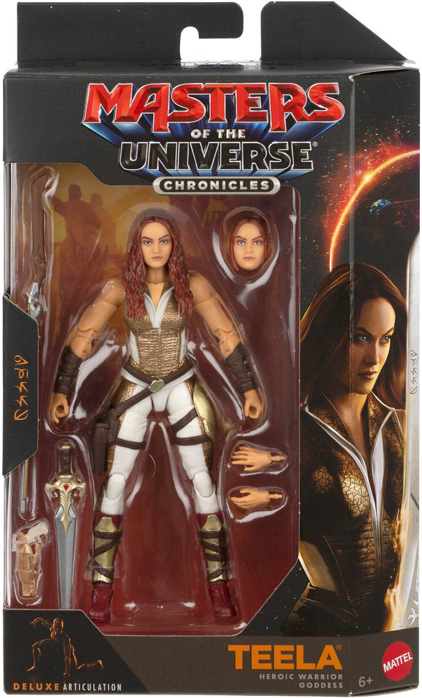 MASTER OF THE UNIVERSE CHRONICLES