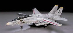 Hasegawa 1/72 F-14A Tomcat (Atlantic FS)