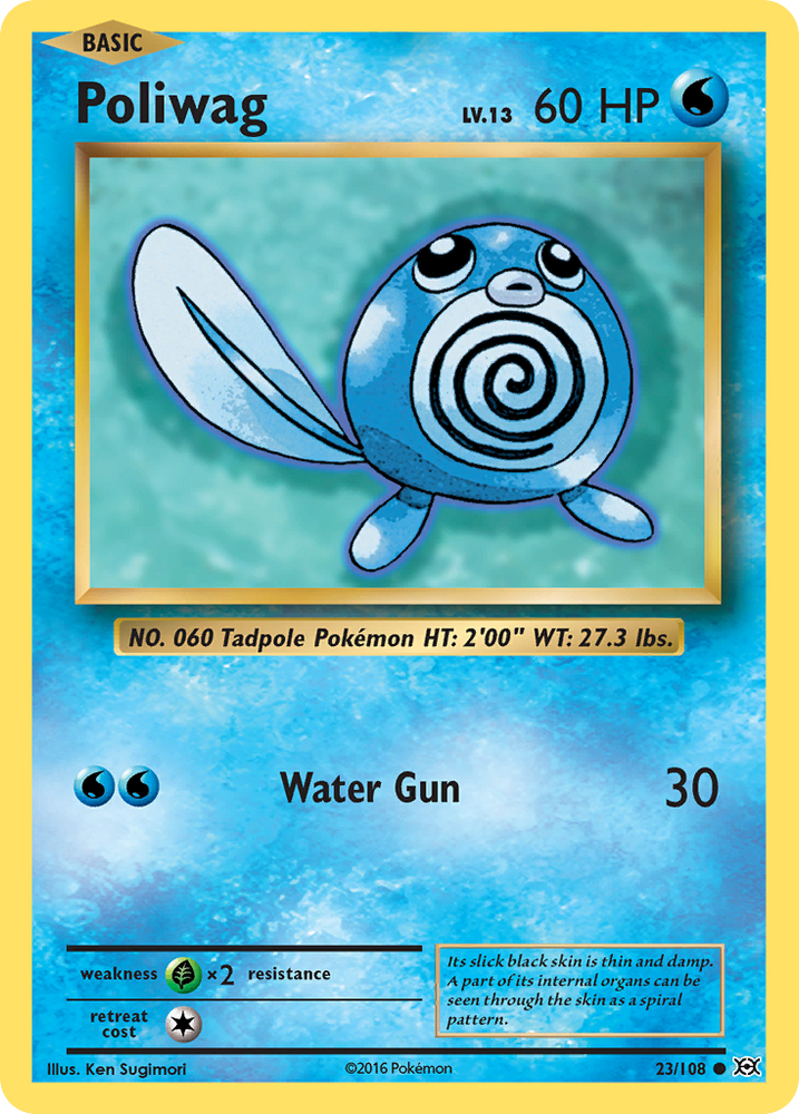 Poliwag (23/108) [XY: Evolutions]