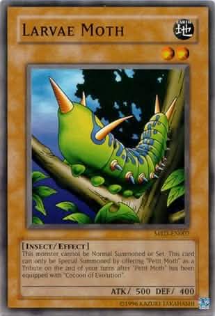 Larvae Moth [MRD-EN007] Common