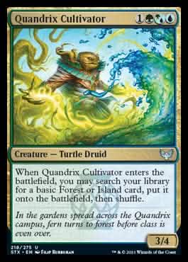 Quandrix Cultivator [Strixhaven: School of Mages]