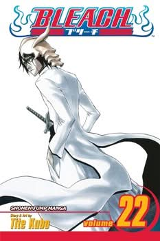 BLEACH, VOL 22