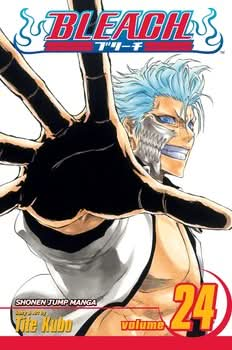 BLEACH V24