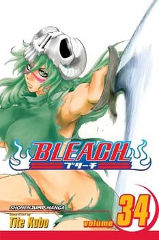 BLEACH V34