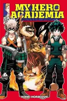 MY HERO ACADEMIA V13