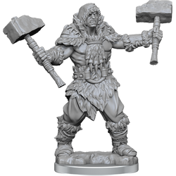 DND FRAMEWORKS WV2 GOLIATH BARBARIAN MALE