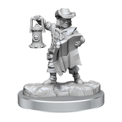 DND FRAMEWORKS WV2 MALE HALFLING ROGUE