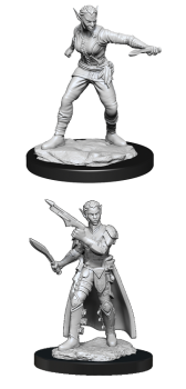 DND UNPAINTED MINIS WV13 SHIFTER ROGUE FEMALE