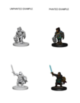 DND UNPAINTED MINIS WV3 DWARF FEMALE PALADIN