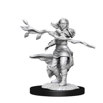 DND UNPAINTED MINIS WV14 HUMAN DRUID FEMALE