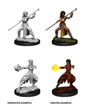 DND UNPAINTED MINIS WV10 FEMALE HALF-ELF MONK