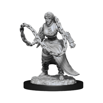 DND UNPAINTED MINIS WV14 HUMAN MONK FEMALE