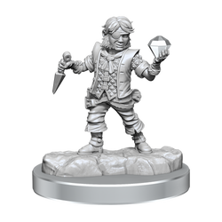 DND FRAMEWORKS WV2 MALE HALFLING ROGUE