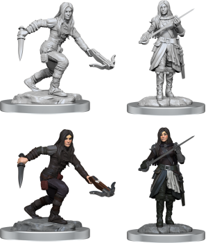 DND UNPAINTED MINIS WV17 HALF-ELF ROGUE FEMALE