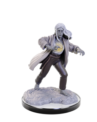 DND UNPAINTED MINIS WV22 REBORN PALADIN/WARLOCK