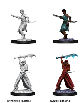 DND UNPAINTED MINIS WV10 FEMALE HUMAN ROGUE