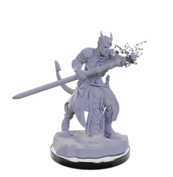 DND UNPAINTED MINIS WV22 TIEFLING WARLOCKS