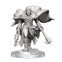 DND UNPAINTED MINIS WV20 AASIMAR CLERIC MALE