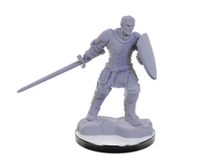 DND UNPAINTED MINIS WV22 REBORN PALADIN/WARLOCK